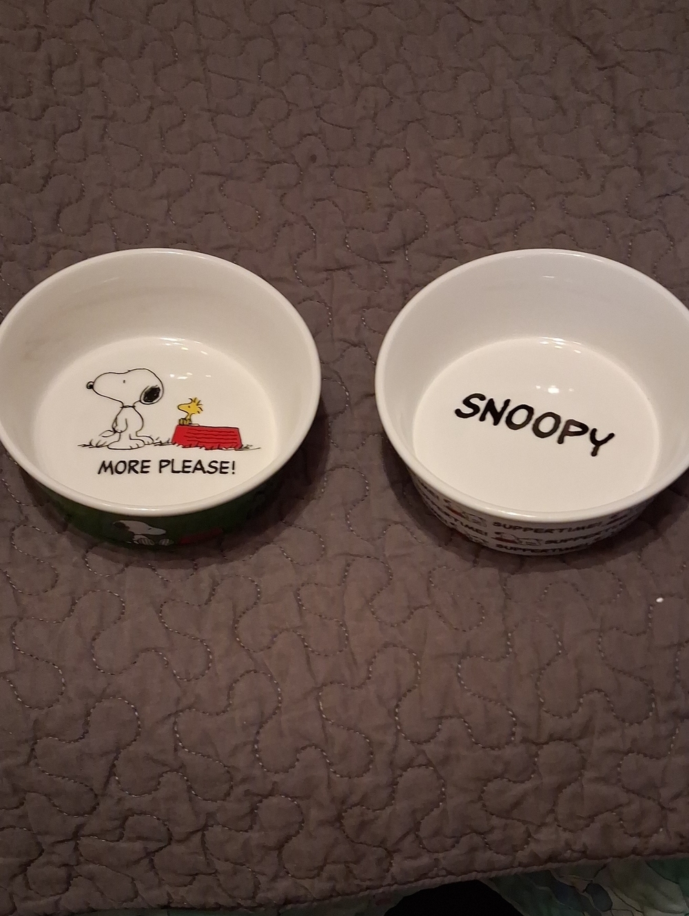 Peanuts Snoopy Ceramic Pet Bowls - White with Green and Red Accents Set Of 2